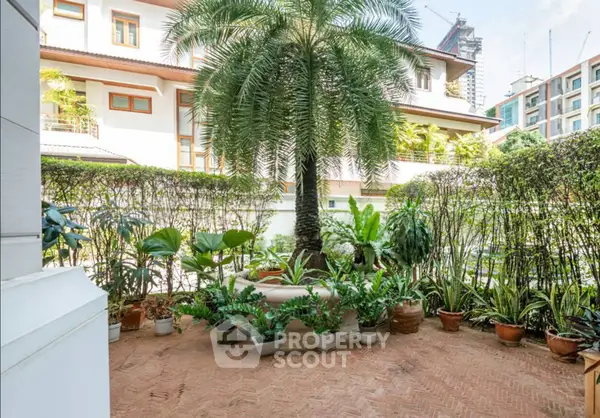 image_rental-30640548