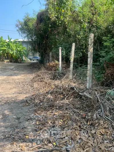 image_rental-28802724