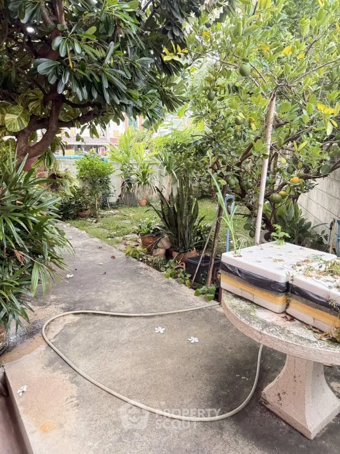 Charming garden oasis with lush greenery and cozy seating area, perfect for relaxation.