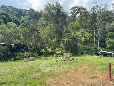 Scenic view of lush green landscape with trees and open space, perfect for nature lovers.