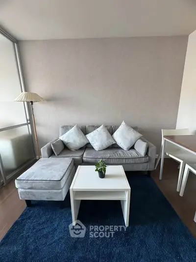 Modern living room with cozy gray sofa and stylish decor