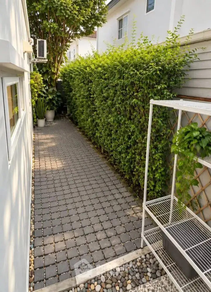 Charming garden pathway with lush greenery and modern design, perfect for relaxation and outdoor enjoyment.