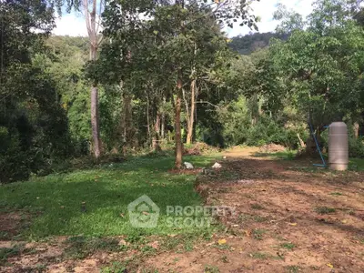 Scenic view of lush green forested land, ideal for eco-friendly real estate development.