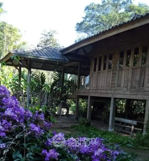 image_rental-19074378