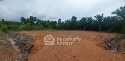 Expansive cleared land surrounded by lush greenery, ideal for development opportunities.