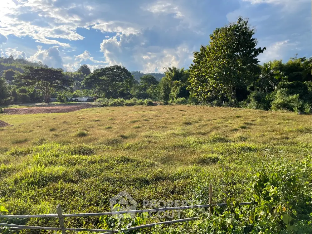 Expansive lush green land under a clear blue sky, ideal for development or a grand estate, surrounded by nature's beauty.