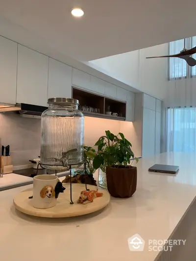 Modern kitchen with sleek design and natural light